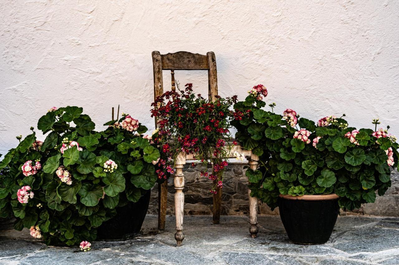 Biobauernhof Gast Apartamento Mariapfarr Exterior foto